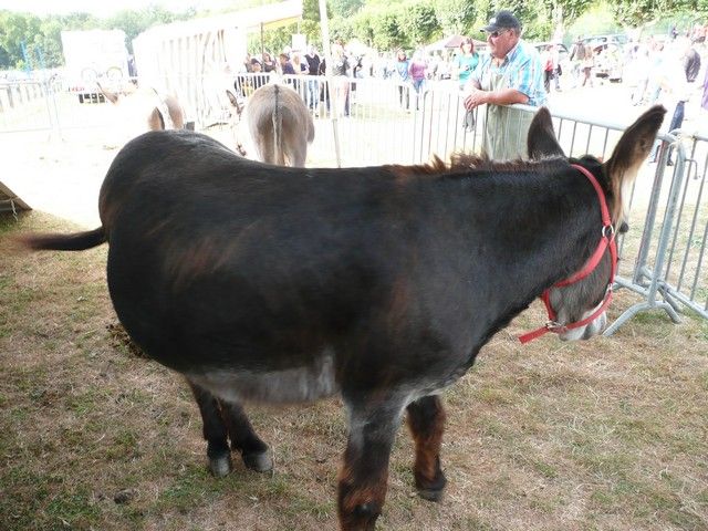 vide grenier 2012 (39).jpg